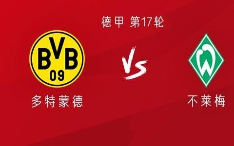 多特vs不莱梅：法比奥席尔瓦、丘库埃梅卡、聚勒首发