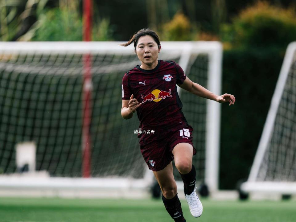 从巅峰回到起点，日本女足留洋球员的故事