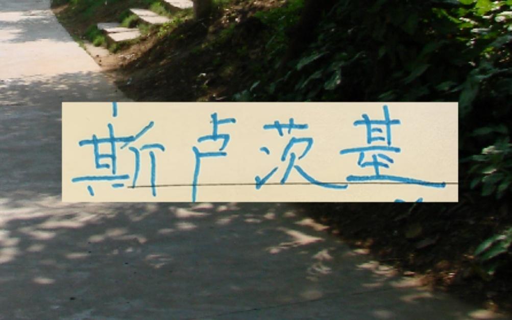 申花负10分起步跑车2026赛季对于斯