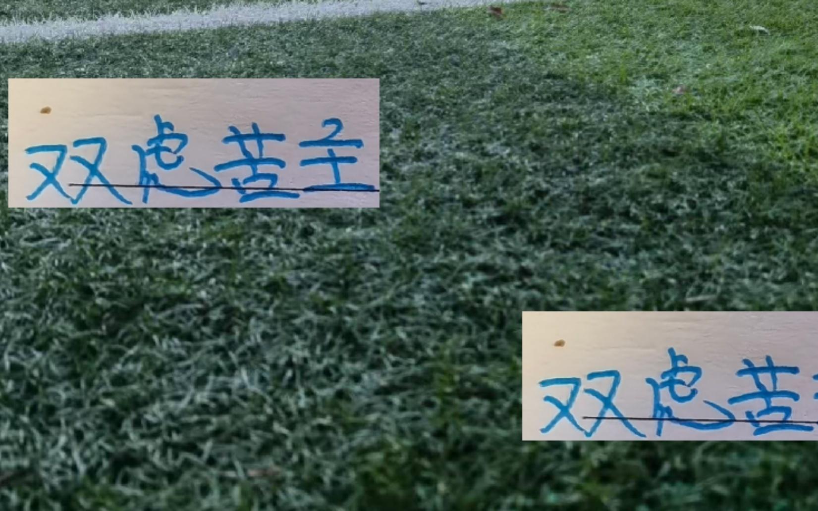卡扎真是上海双虎苦主!他打申花进了3个球打海港又进球