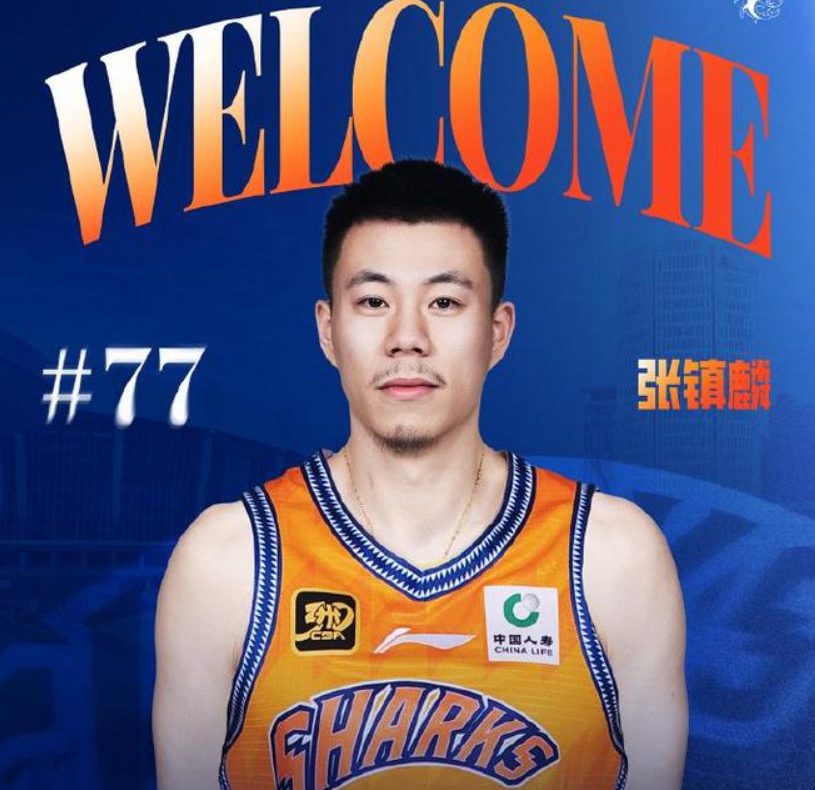 张镇麟加盟上海！辽宁2人成为最大受益者，将受到杨鸣重用