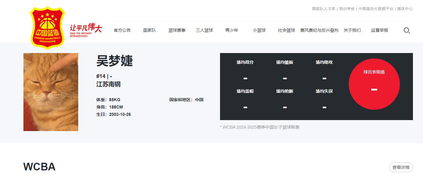 搞错WCBA球员官网头像变成一只猫