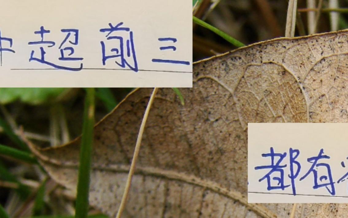 最后5轮！中超前3球队都有宿敌成都是河南海港是山东