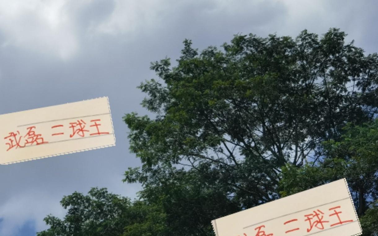 从乙级联赛一路打到顶级强队武磊不