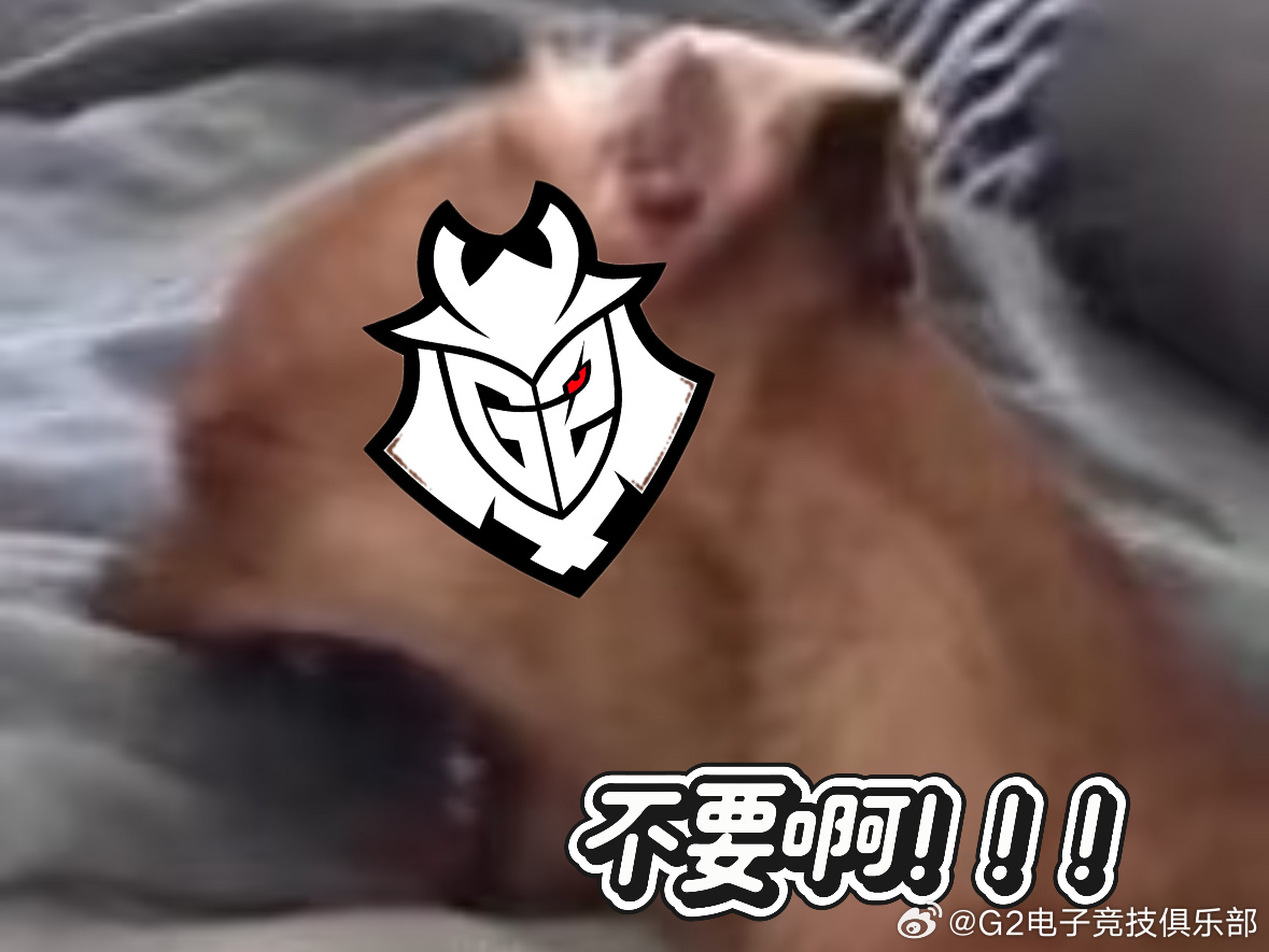 G2官推自嘲MSI出局："haha至少我们赢得了内容创作世界冠军！"
