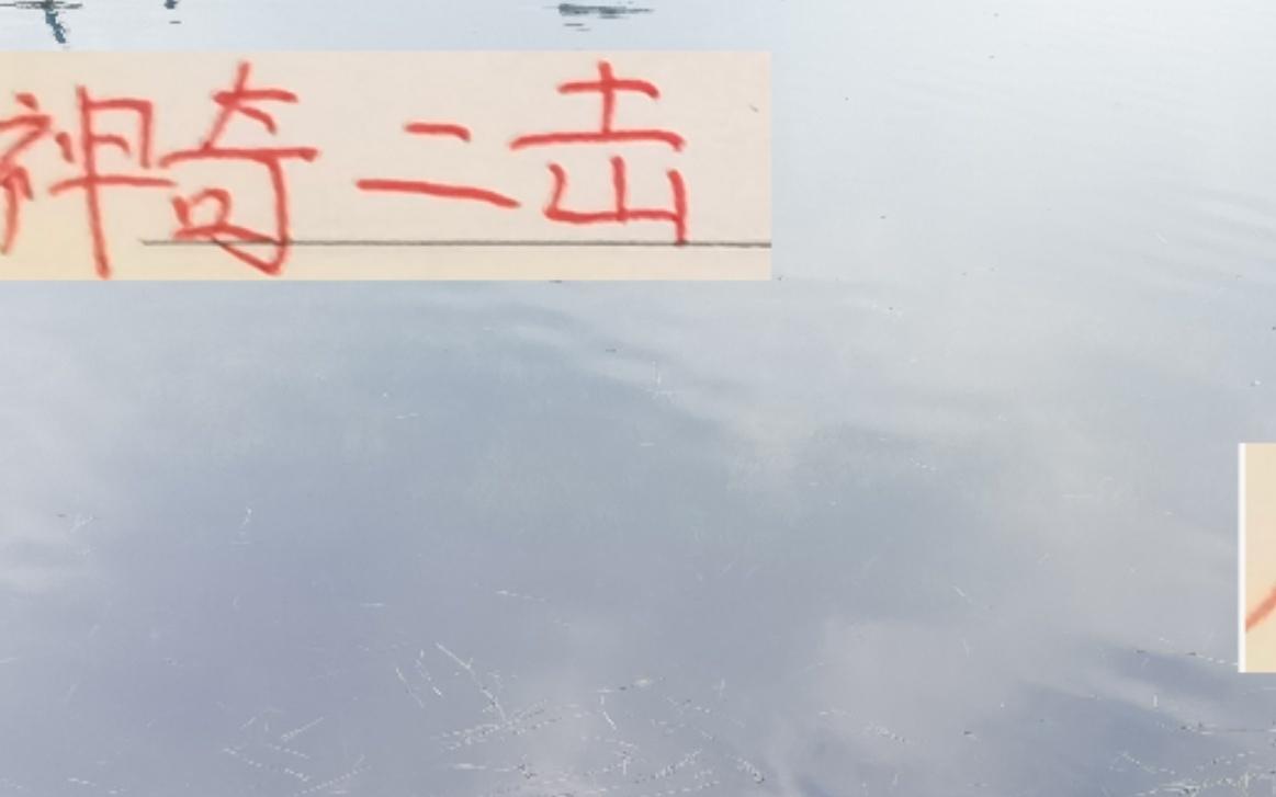 神奇二击!海港跟申花前15轮拿分第一后半程突然拉胯了