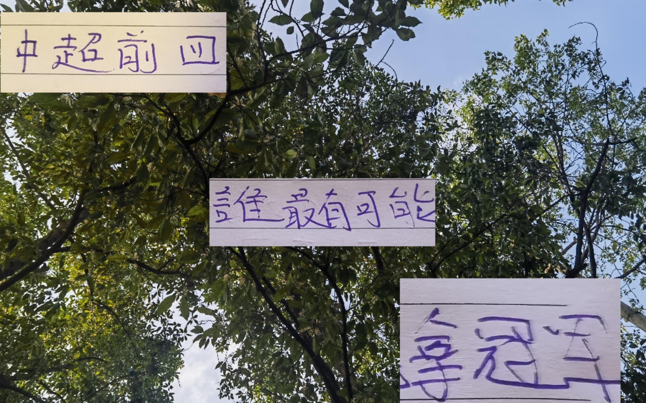 还剩下10轮情况下中超前四申花海港成都都有可能拿下冠军