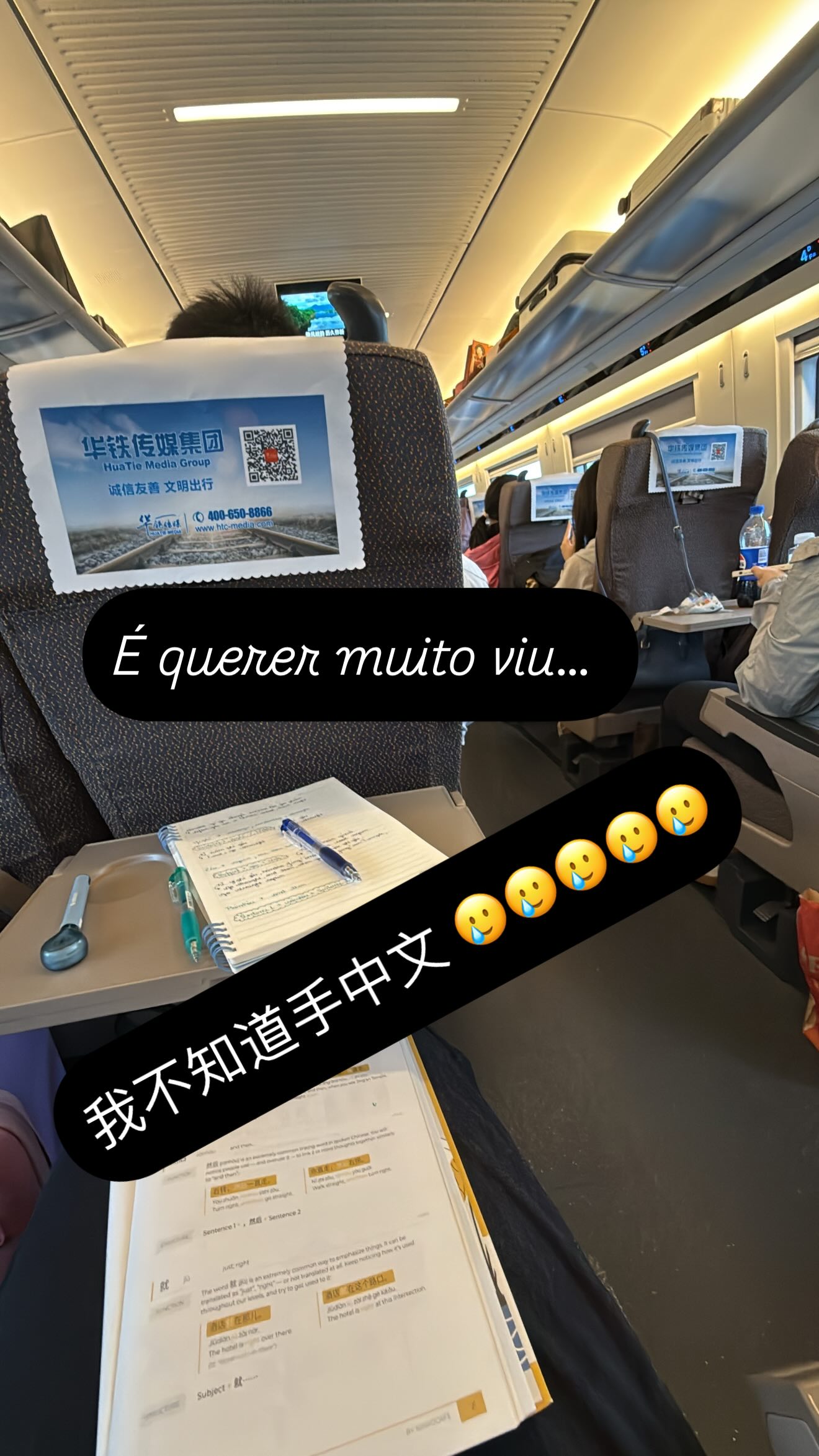 嫂子得练塞鸟妻子高铁上感慨中文太难：我不知道"手"中文