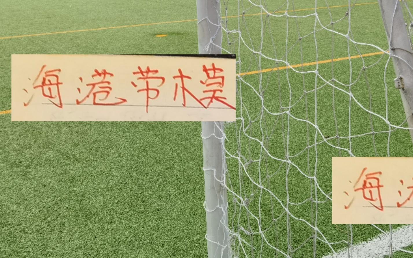 海港的劳模！蒋光太四年时间不到代表