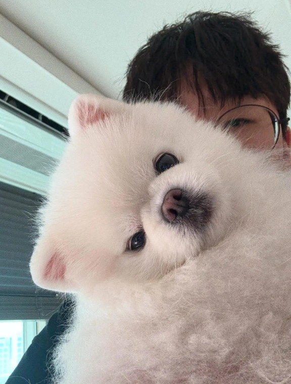 Ruler分享与香奈儿合照，Lehends：小狗后面是灵异照片