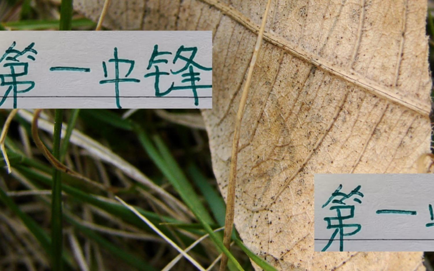 中超第一中锋!北京国安发飙不仅联赛有帽子戏法足协杯也能戴帽