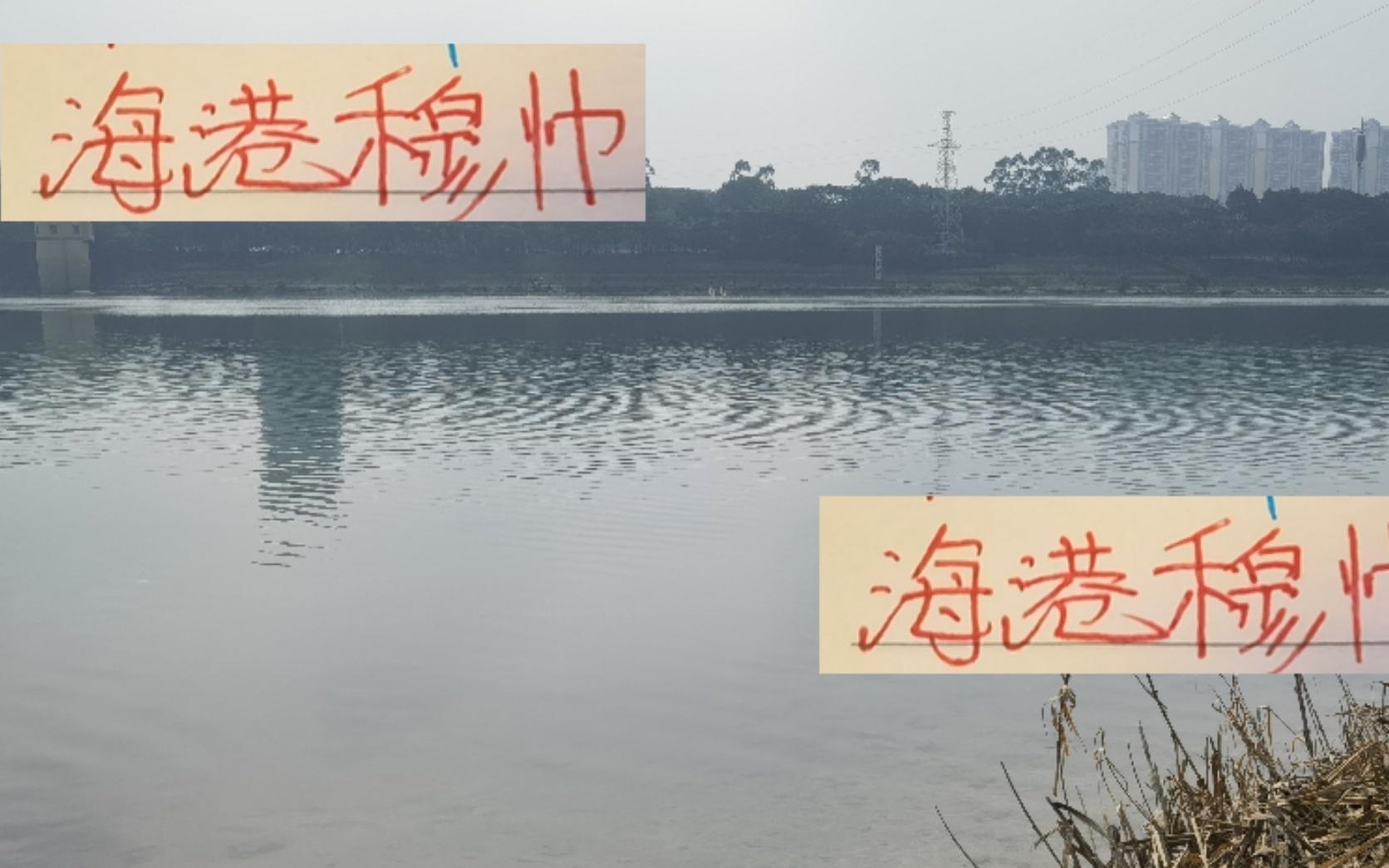 有点不理解!海港穆帅年度教练没资格月度最佳反而不停给