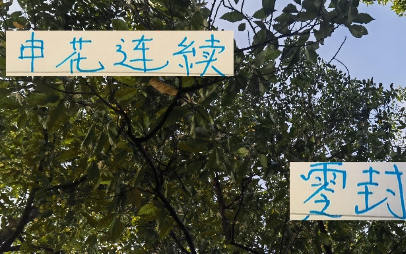 申花这两轮能零封对手防住浙江米神