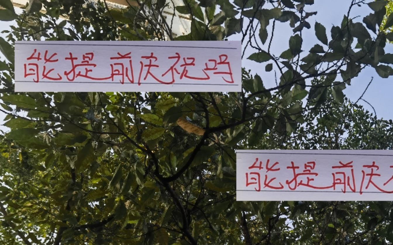 海港能提起开香槟吗除非最后一轮领先4分
