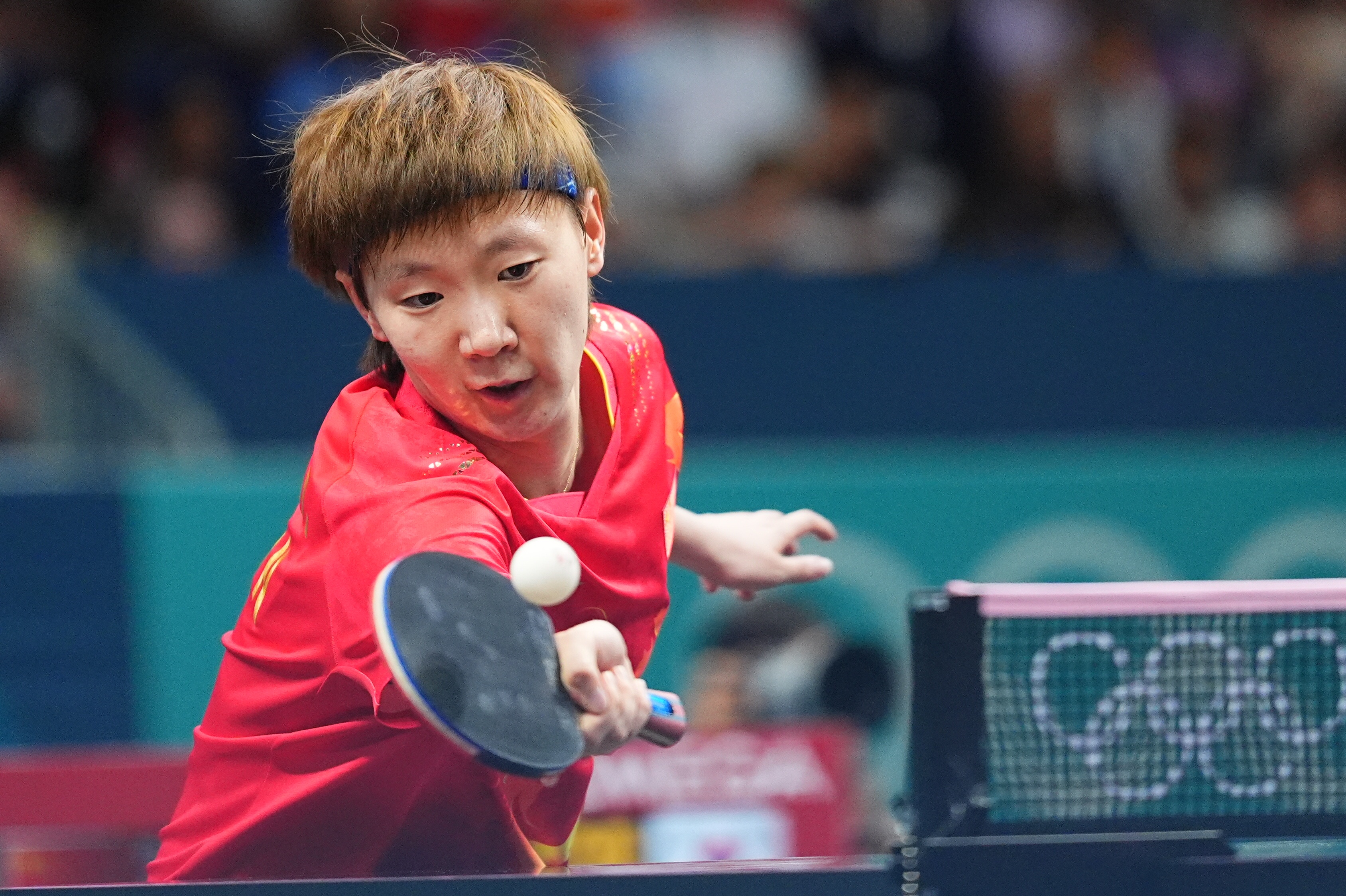 WTT美国大满贯国乒明日赛程：王曼昱vs卡尔伯格，林诗栋vs泊雷特