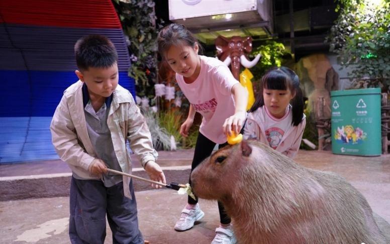 运动员免费!正佳极地海洋世界送出多项福利迎全运会