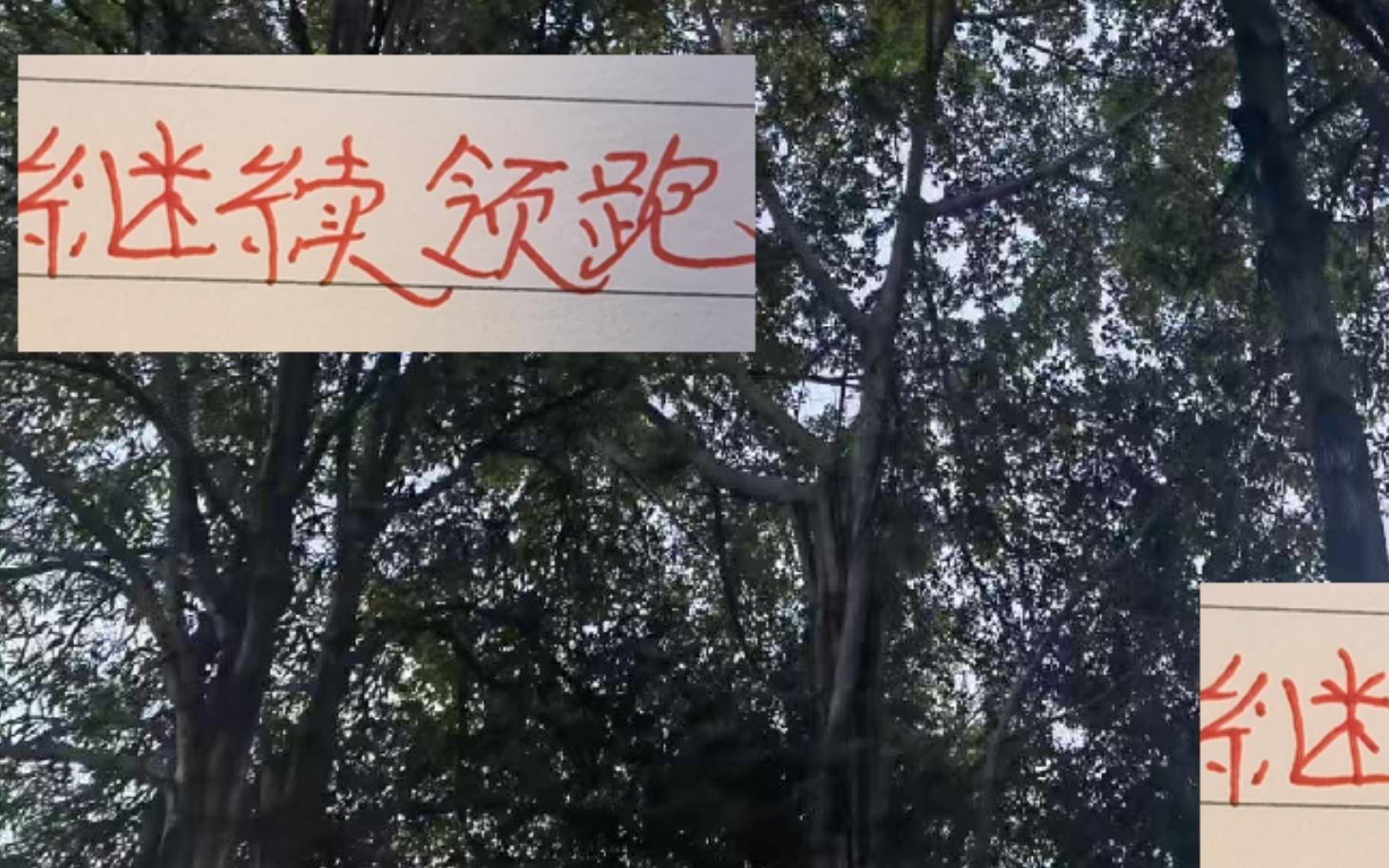 继续领跑!继续进球第一!海港差点被海牛压得喘不过气