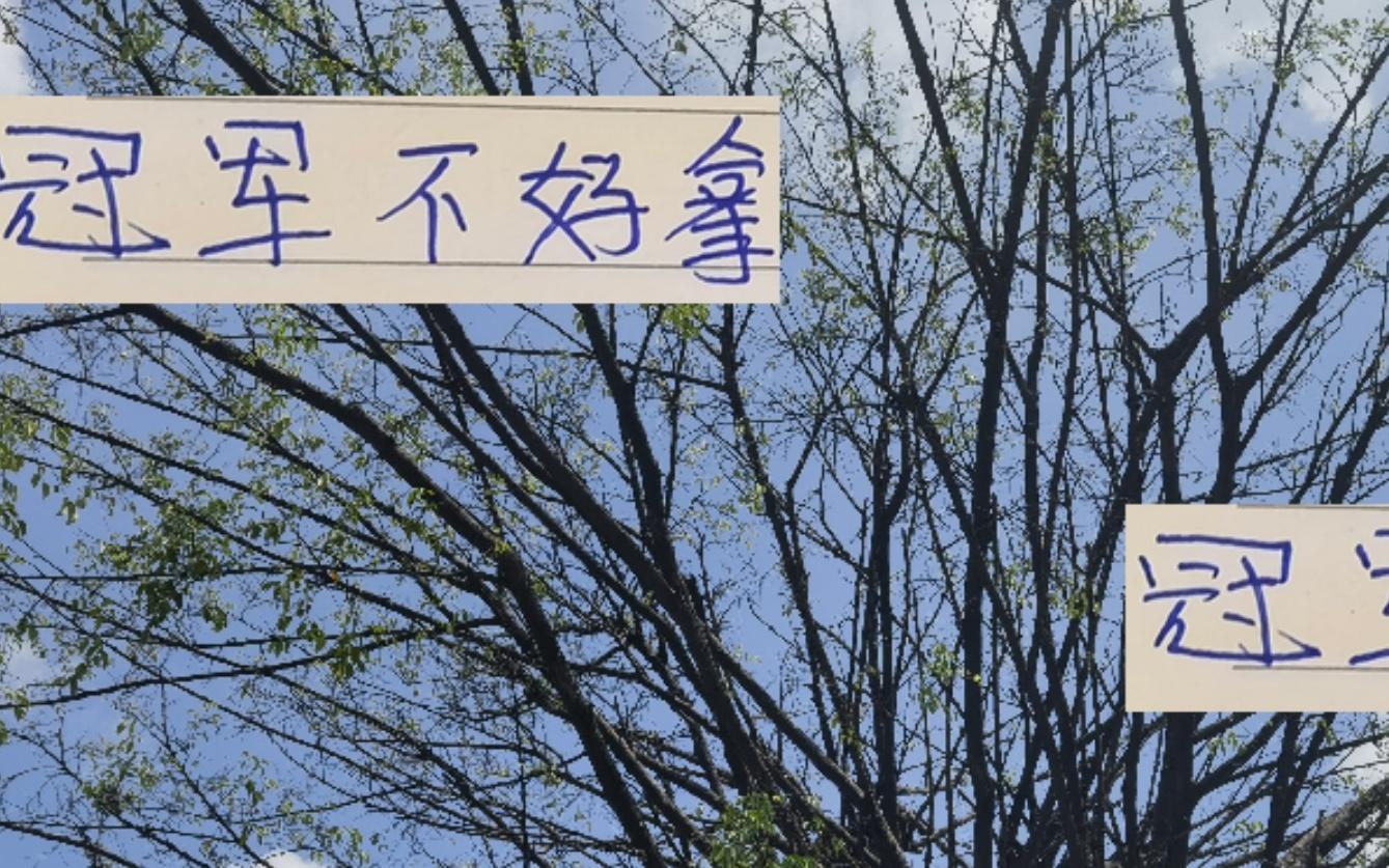 冠军没有那么好拿！成都蓉城被绝平