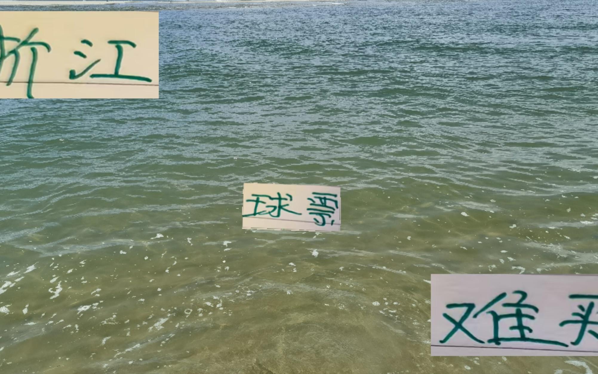 没想到！浙江也加入球票难买行列