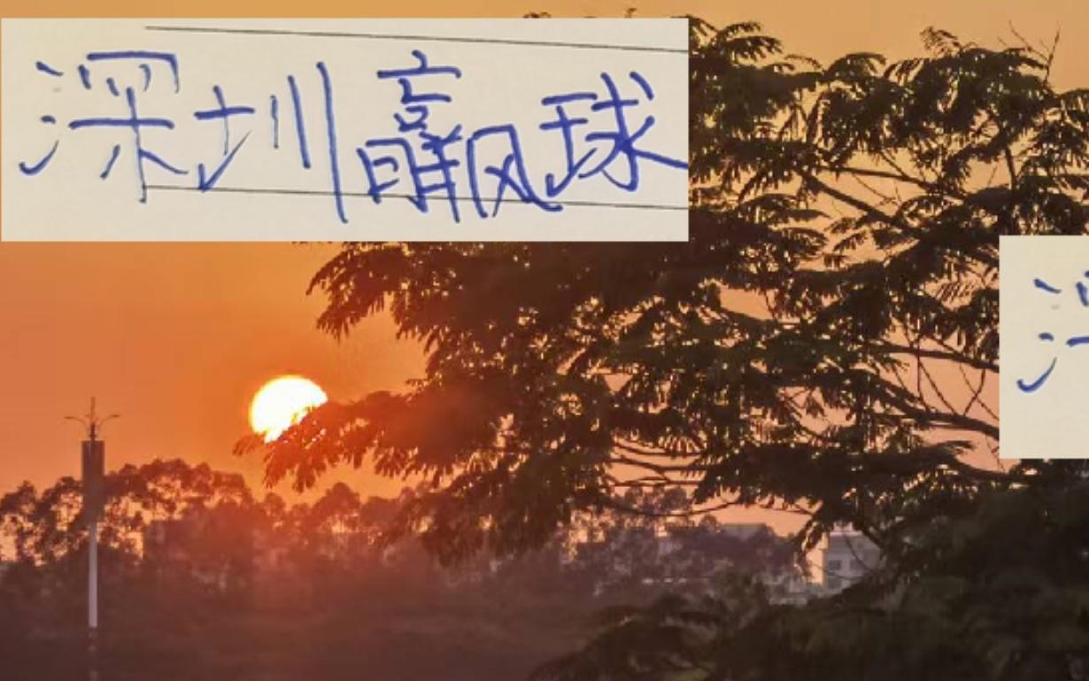 深圳赢北京国安!可能最慌是申花前俄教练他们在第29轮交手