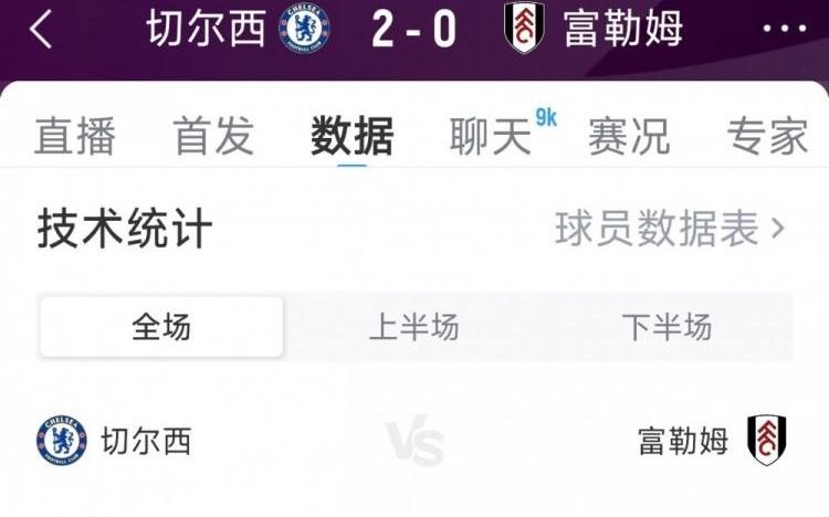 切尔西20富勒姆全场数据：射门1311，射正63，得分机会30