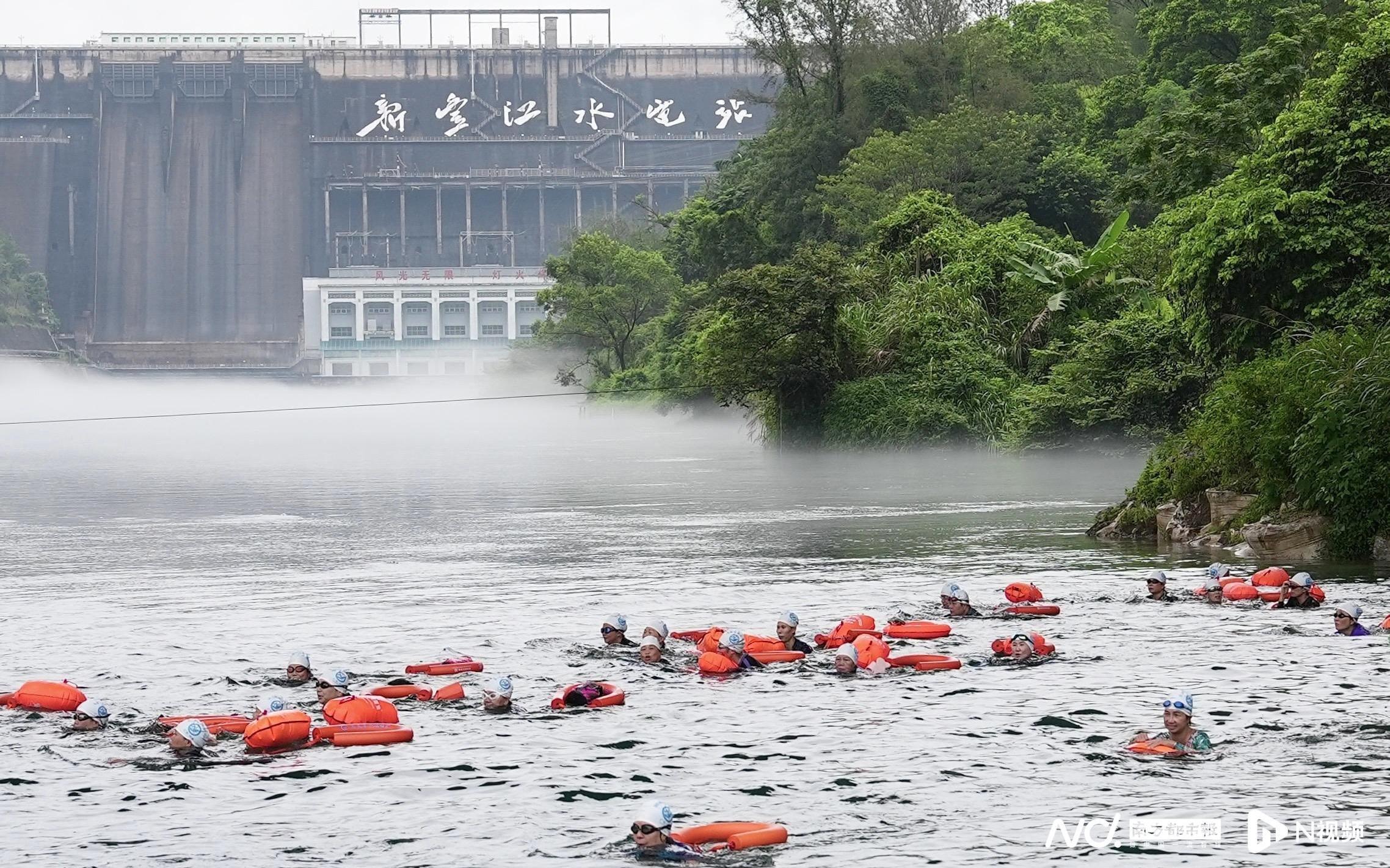 浪花激荡新丰江！1800名泳者竞渡河源15生态“冰河”