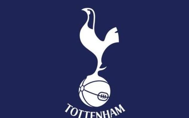 德转热刺球员身价变化:范德芬等5人上涨,西蒙斯等16人下跌