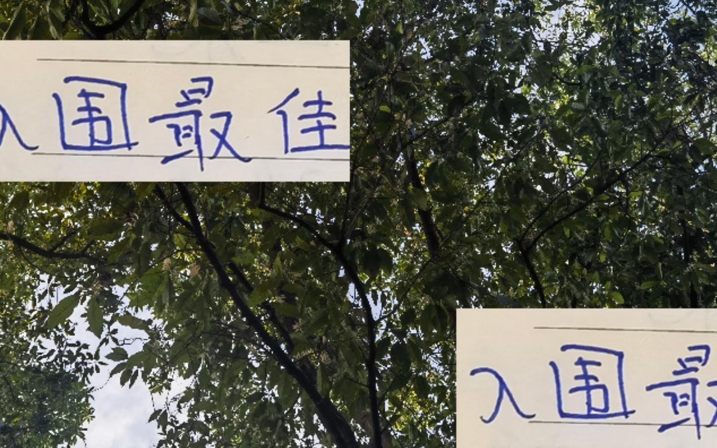 上海双雄入围中超最佳单轮候选海港是莱昂申花是陈晋一