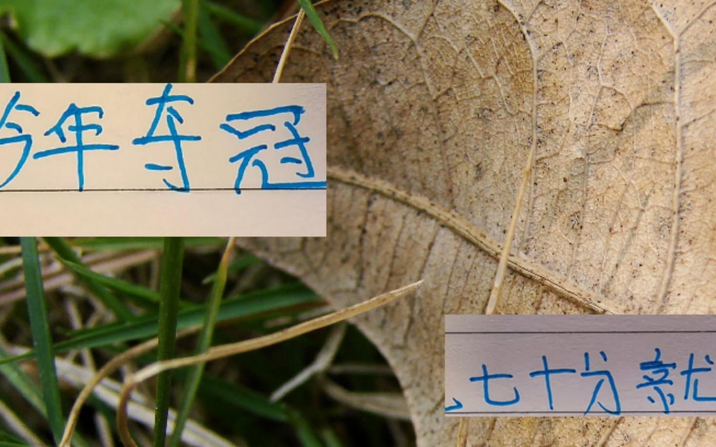 心痛去年申花一下！今年中超冠军大概70分左右就可以！甚至更低