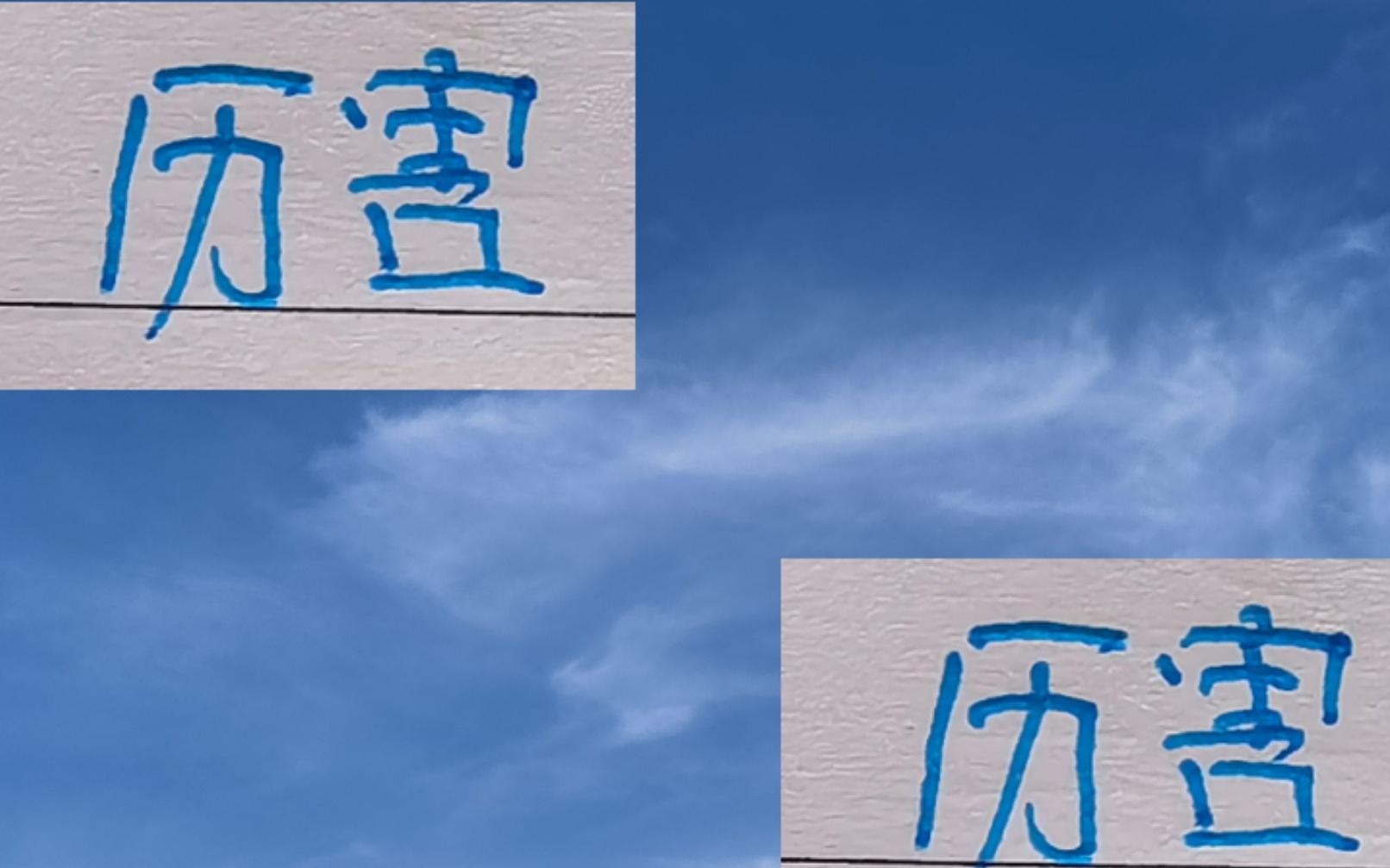 中超第一个赛季还是申花前任马莱莱比现任米内罗更加厉害!