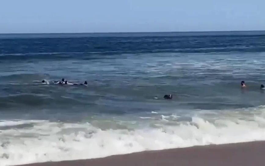 太阳报：德米凯利斯带孩子游泳时遇到洋流，在路人帮助下获救