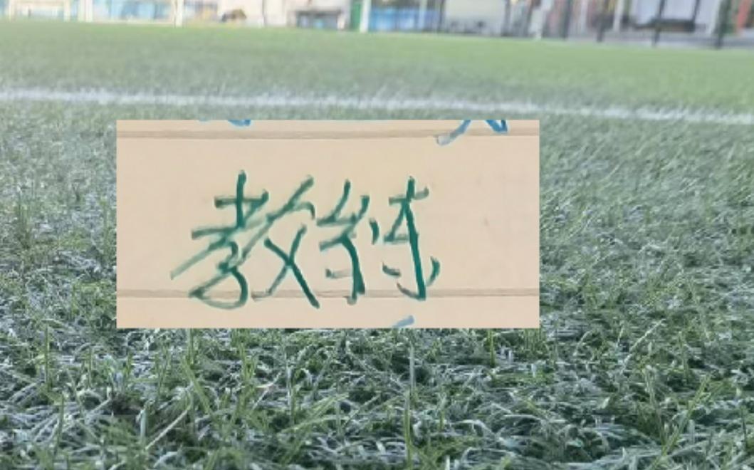 2025赛季北京国安的塞蒂恩+拉米罗算是成功的吗