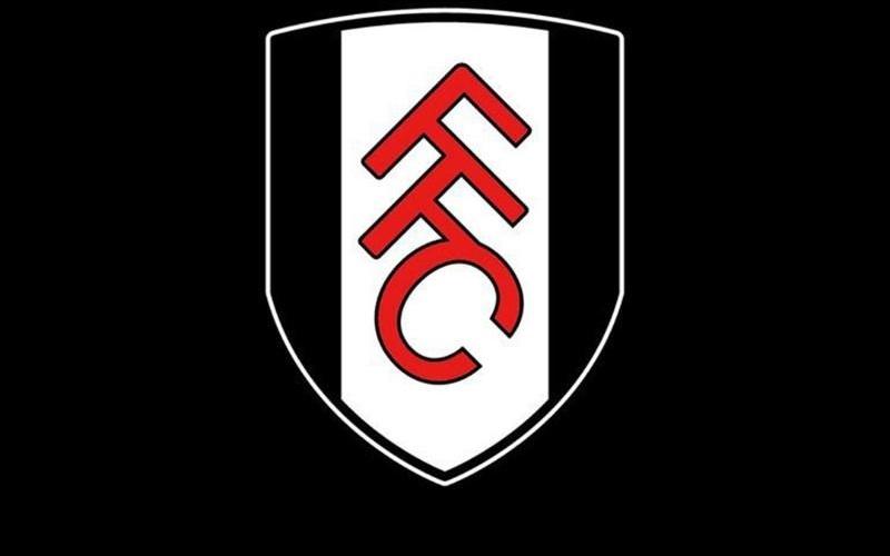 英国警方：一男子因在网上种族歧视富勒姆前锋穆尼斯被判刑