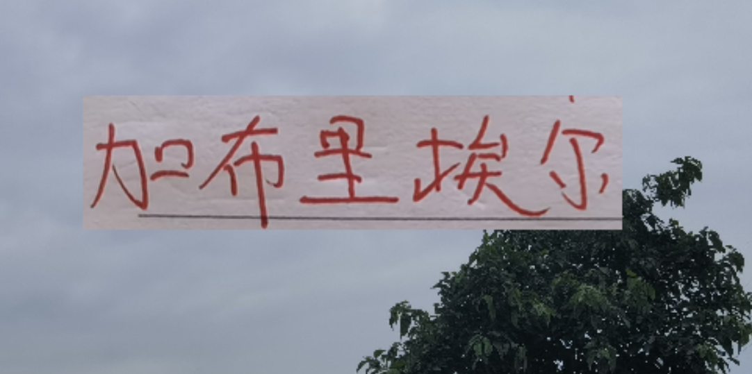 新賽季！海港申花北京國安的邊鋒都是又黑又快的外援