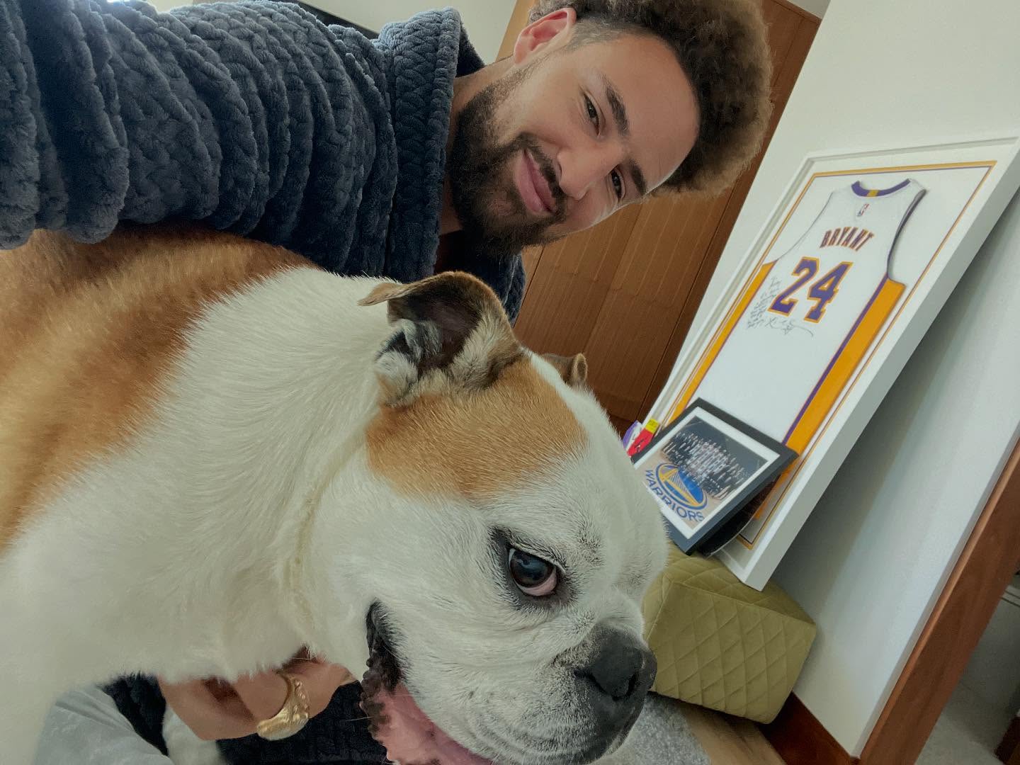 克莱深情告别Rocco：一只伟大的王朝狗狗我会万分想念你