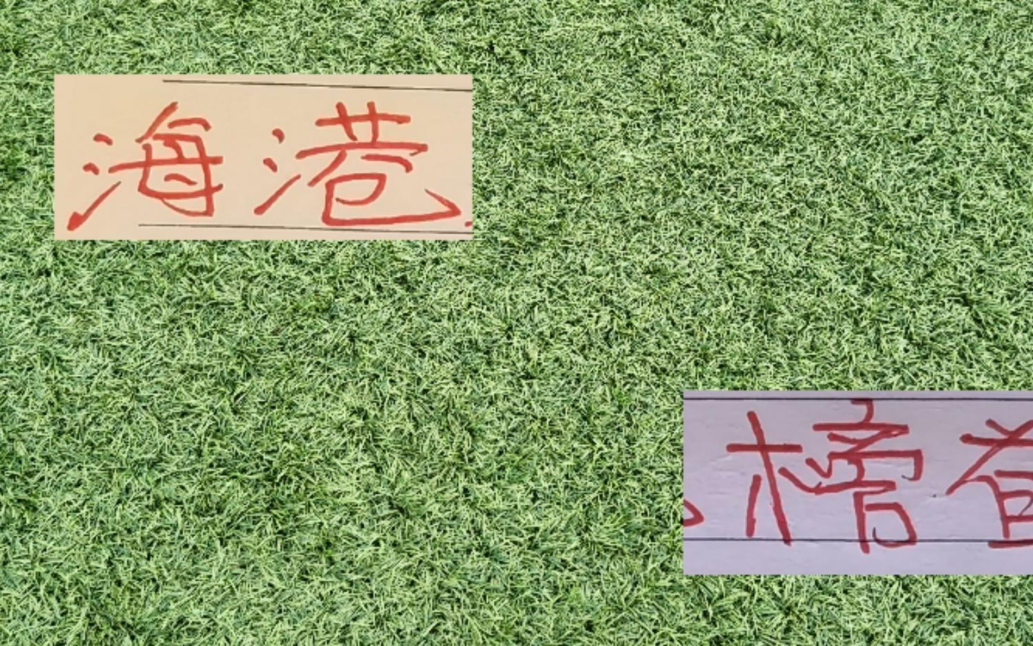中超前3都有拿过月度最佳教练经历！但冠军就海港穆帅拿过