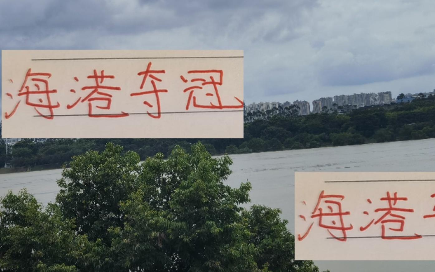 今年海港能否夺冠关键还是武磊接班人莱昂纳多