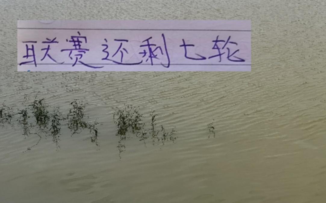 海港遇强不够猛联赛还剩7轮后面还有北京国安跟山东泰山