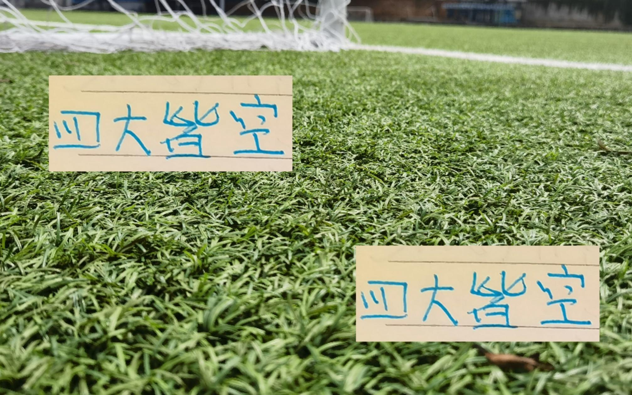 四大皆空申花8场比赛只是赢了一场就不要幻想后面5场全胜了