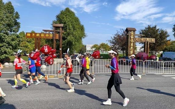在奔跑中感受田园魅力！2025浙沪乡村半程马拉松赛开跑