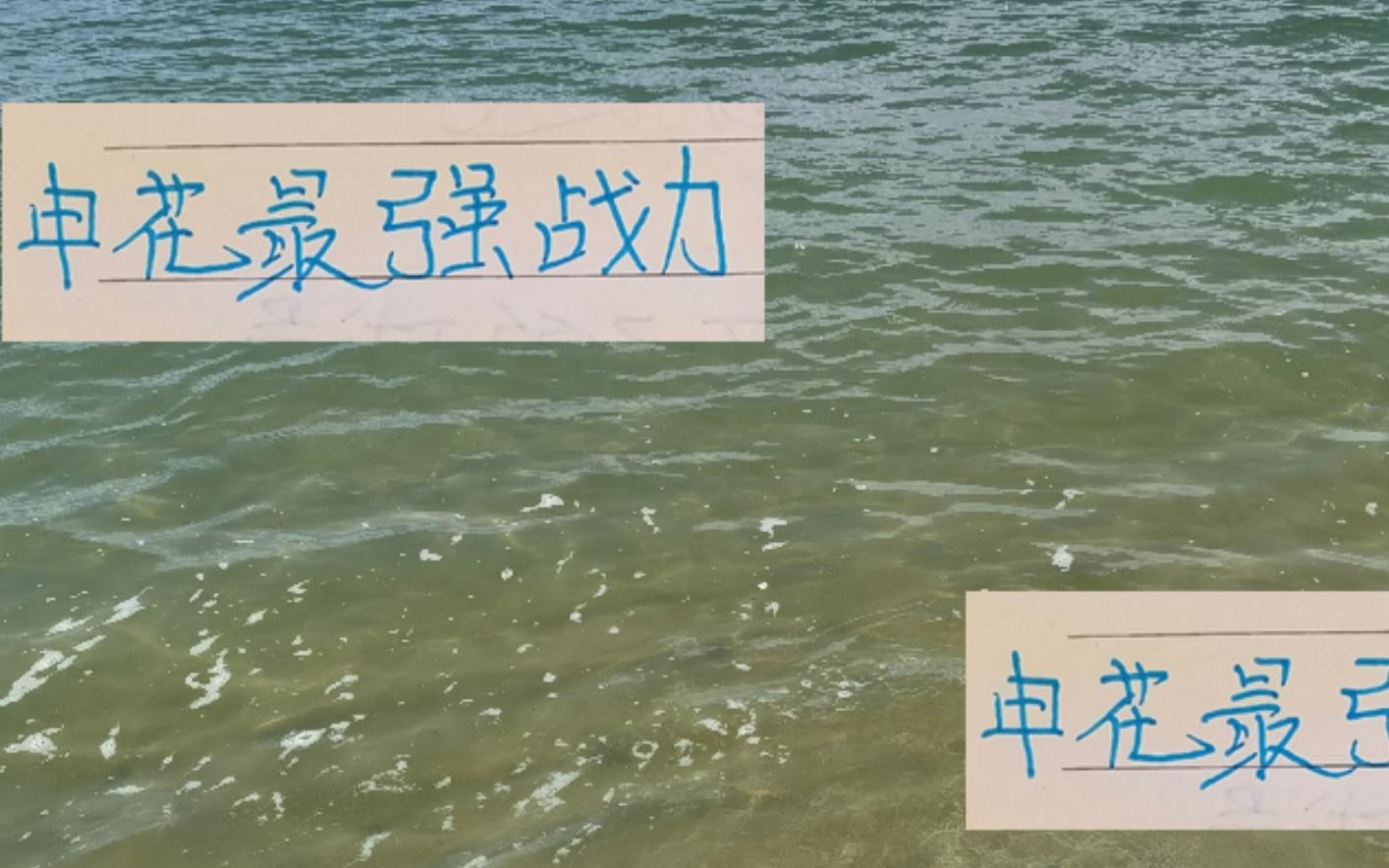 没想到！申花的最强战力都在包厢！