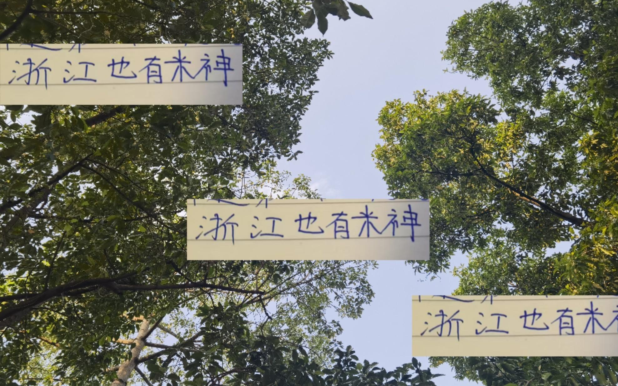 算是鼓舞士气！浙江迎战申花前米特里策拿下官方最佳球员