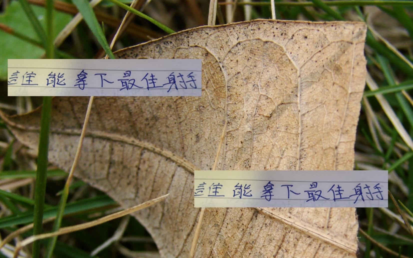 在没有海港武磊时候中超四大外援谁能拿下最佳射手