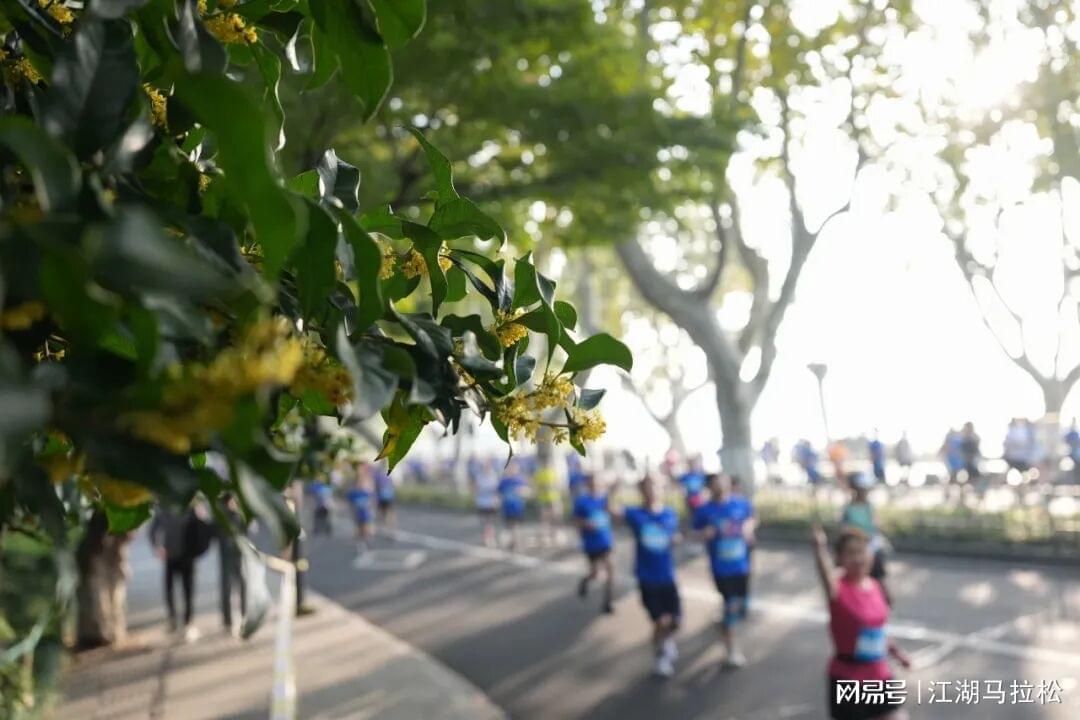 马拉松“遍地开花”分明就是“遍地插花”