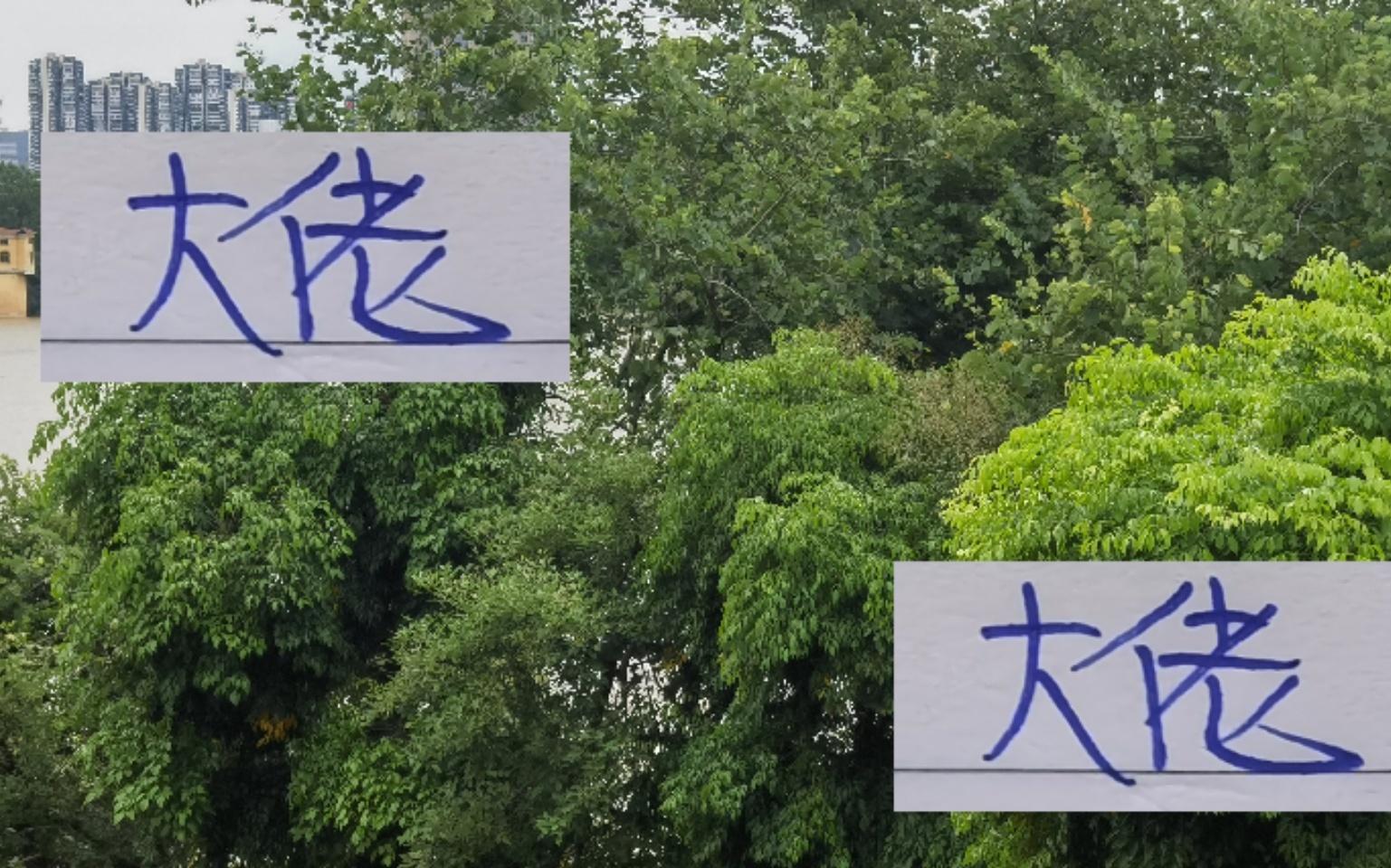 中超积分前5名射手大佬！申花米内罗