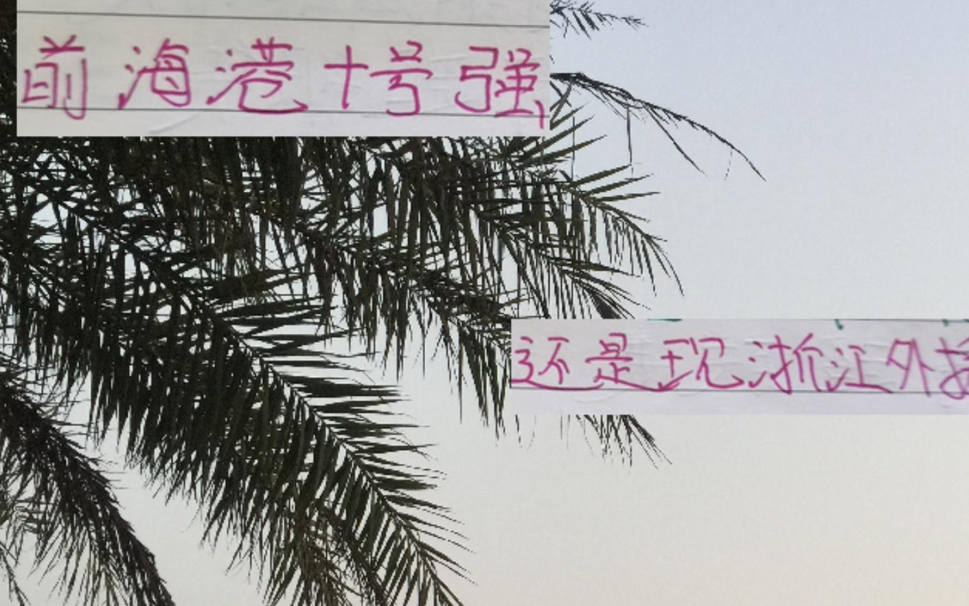 中超这两年的最强外援是去年海港巴尔加斯厉害还是今年米特给力