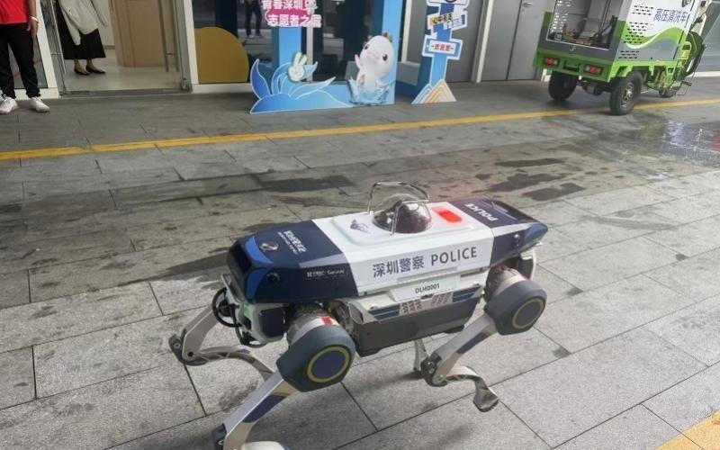 十五运会排球比赛将在深圳启动广东