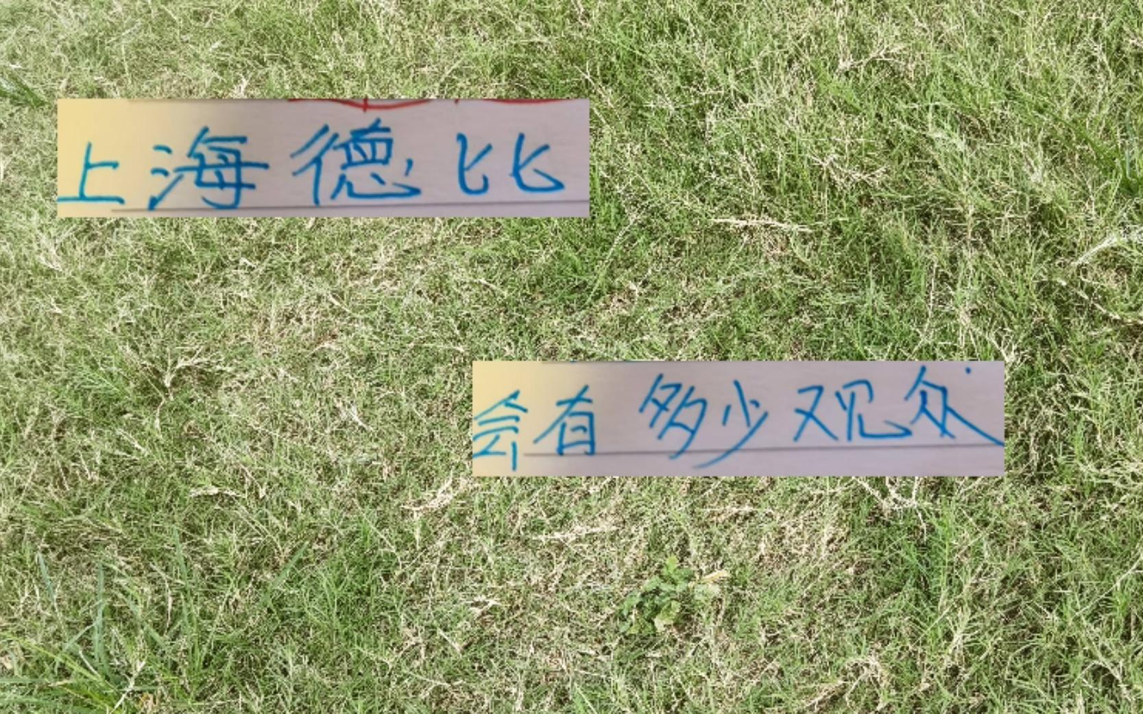 上海德比申花主场会有多少观众毕竟今年也是夺冠最好时候