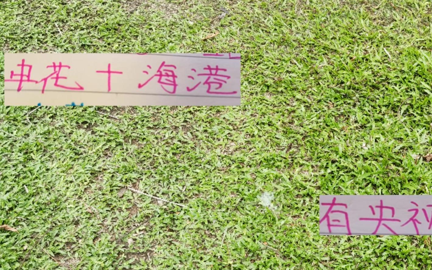 中超第21轮前瞻上海双雄申花+海港同时得到央视直播不容易呀