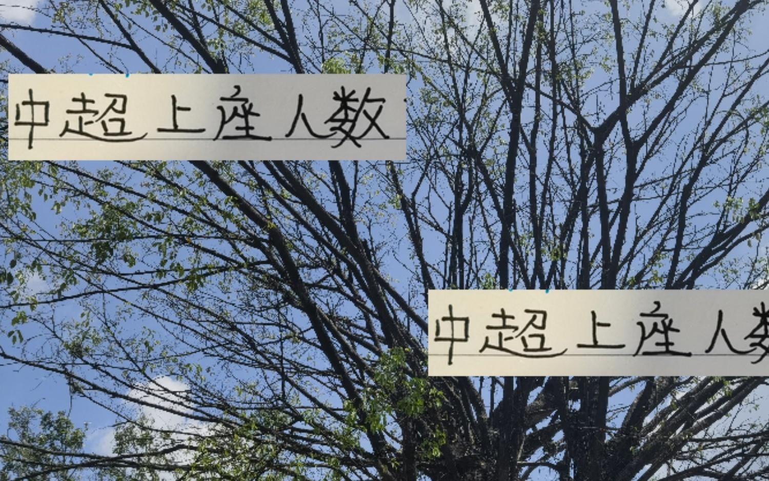 没想到！中超上座率之王是两解散球队申花主场也能破六万